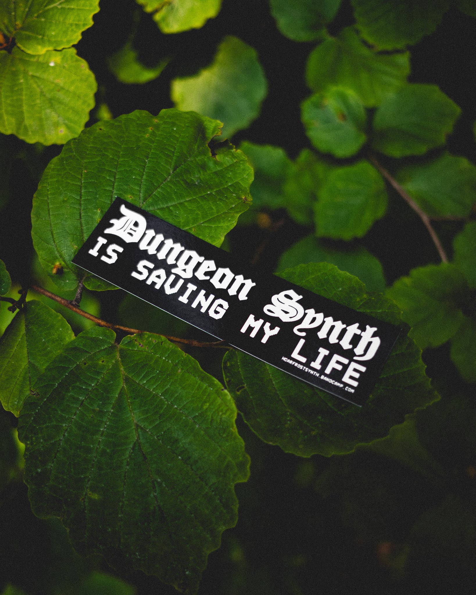Sticker with 'Dungeon Synth is saving my life' text on green leaves